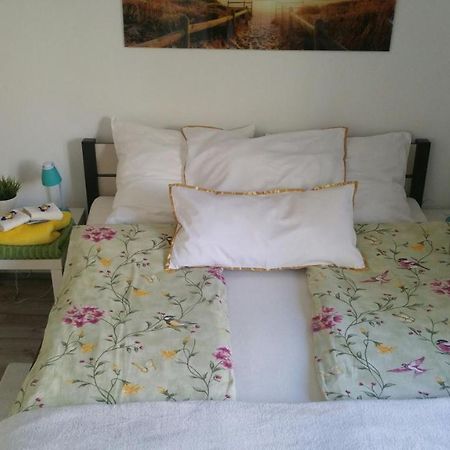 Zacisze Starowki Apartment Torun Exterior photo
